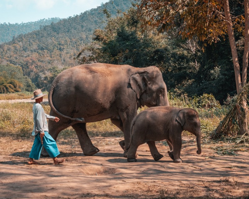 tourhub | Tweet World Travel | In-Depth Discovery Thailand Tour 