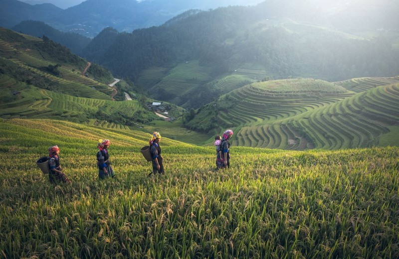 tourhub | Tweet World Travel | 14-Day Laos & Vietnam Bike Tour 