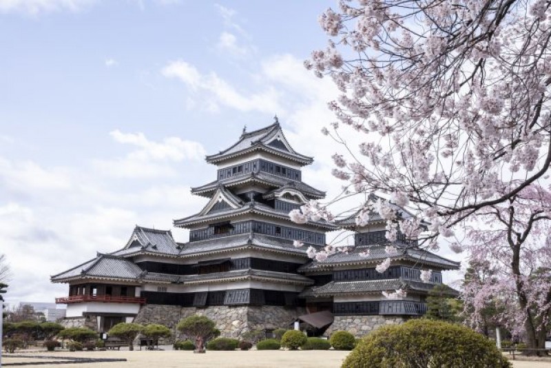 tourhub | Tweet World Travel | Japan Cherry Blossom Tour: Cherry Blossom Viewing In Japan 