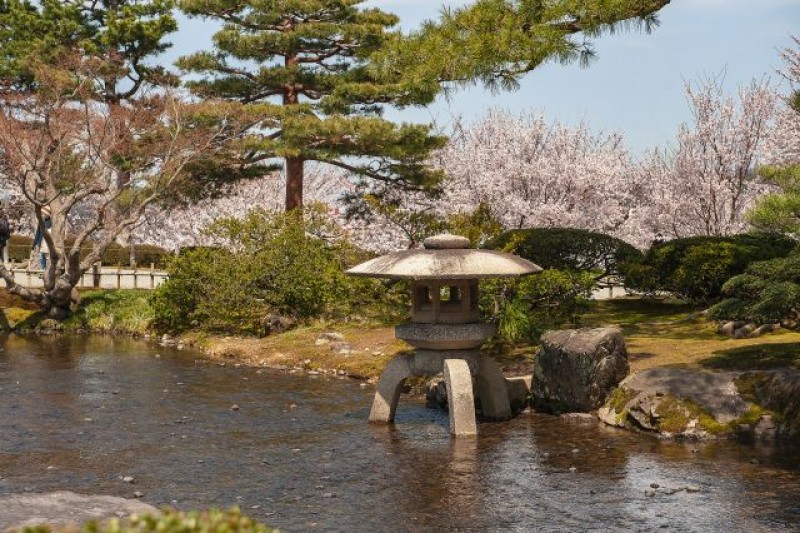 tourhub | Tweet World Travel | Japan Cherry Blossom Tour: Cherry Blossom Viewing In Japan 