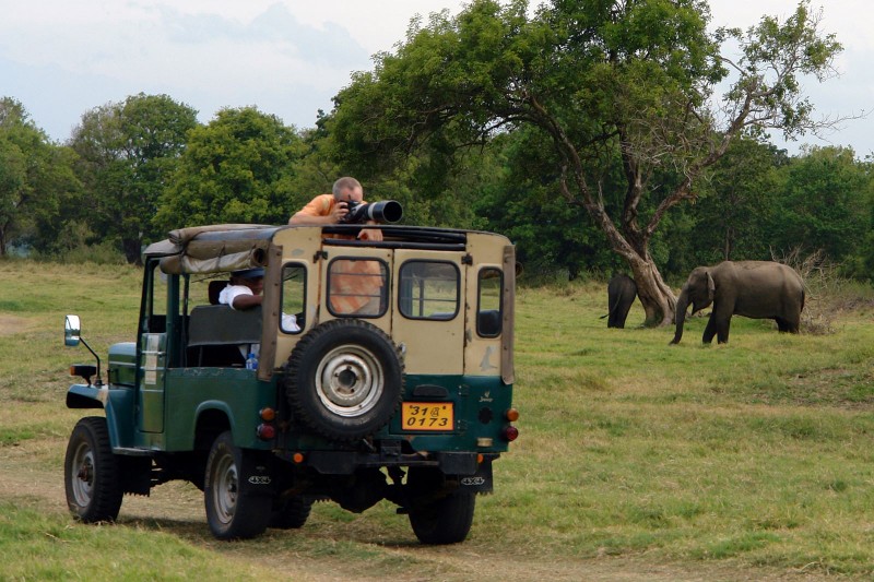 tourhub | Tweet World Travel | Pearl Of Sri Lanka: Discovery Tour Through Tropical Island 