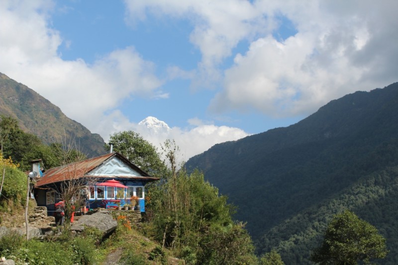 tourhub | Tweet World Travel | Scenic Easy Hike In The Foothills Of The Himalayas 