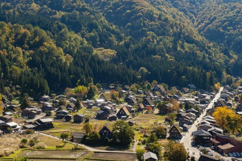 tourhub | Tweet World Travel | Japanese Alps - Snow Monkeys & Snow Corridor 