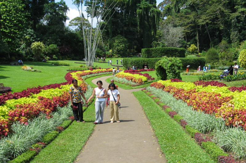 tourhub | Tweet World Travel | Sri Lanka Discovery Tour: A Walking Through Time 