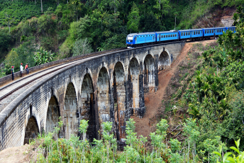 tourhub | Tweet World Travel | Wellness Tour: Yoga Retreats In Sri Lanka 