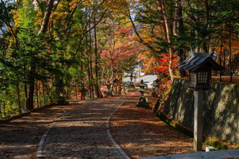 tourhub | Tweet World Travel | Heritage Of Japan Biking Tour 