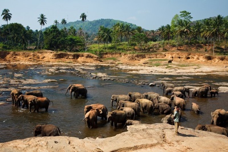 tourhub | Tweet World Travel | Amazing Sri Lanka On Bike 