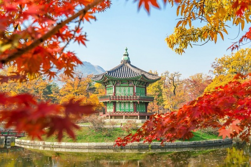 tourhub | Tweet World Travel | Japan & South Korea Small Group Tour 