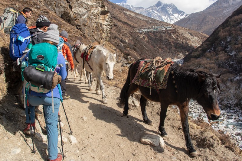 tourhub | Tweet World Travel | Scenic Easy Hike In The Foothills Of The Himalayas 