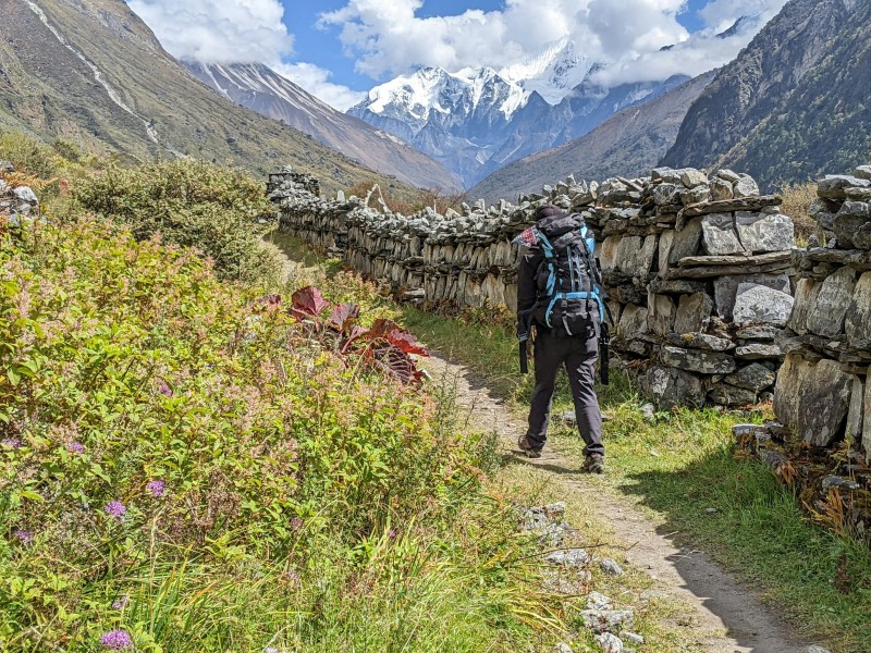 tourhub | Tweet World Travel | Scenic Easy Hike In The Foothills Of The Himalayas 