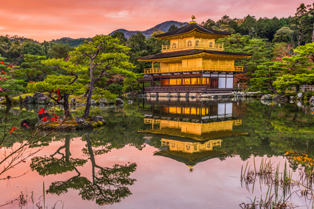 tourhub | Tweet World Travel | Japan Family Tour: Explore The Best Of Japan 