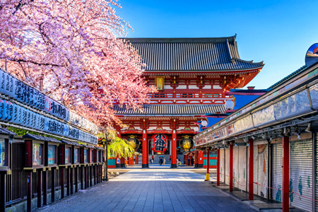 tourhub | Tweet World Travel | Japan Family Tour: Explore The Best Of Japan 