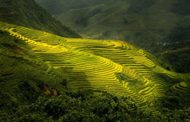 tourhub | Tweet World Travel | Northern Vietnam In-Depth Tour 